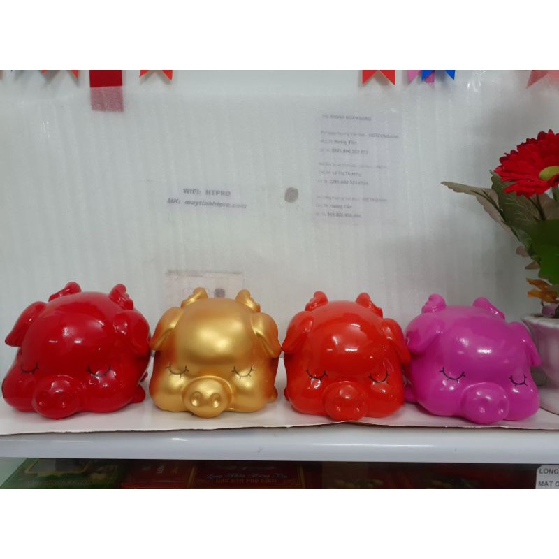 Xả hàng lợn thiên thần 19×17 tại Hà Nội | BigBuy360 - bigbuy360.vn