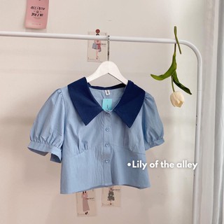 Sơ mi thô cổ màu (ib chọn màu)