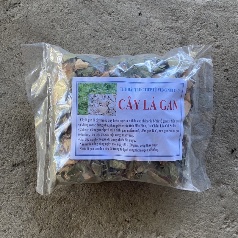 1kg Cây Lá Gan hỗ trợ men gan, sơ gan, gan mỡ, giải độc