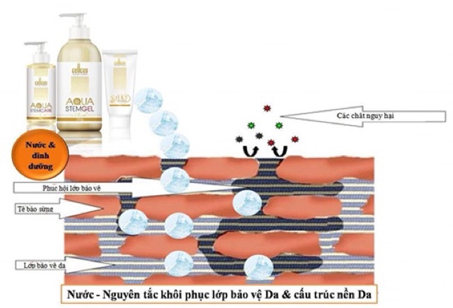 💞 Mặt nạ siêu cấp ẩm AQUA STEMGEL 250ML .