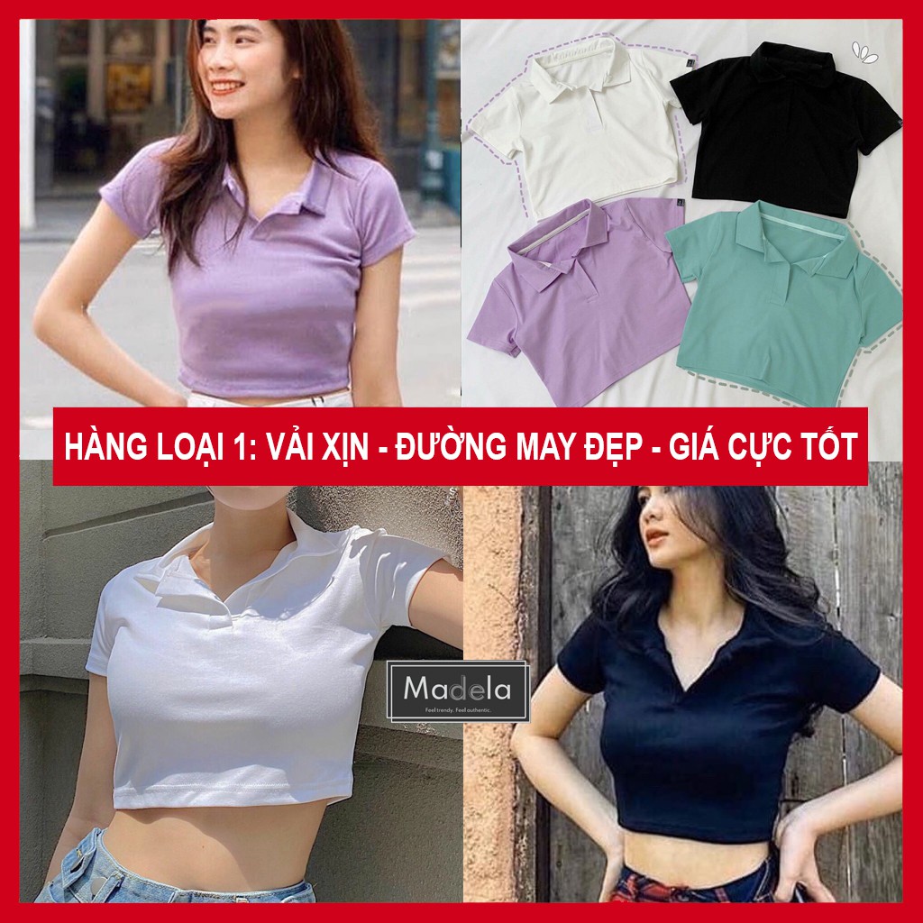 Áo croptop nữ Polo có cổ tay ngắn dáng ôm MADELA, Croptop nữ kiểu cổ đức, áo crt ôm tay ngắn HOT TREND - ACTN01