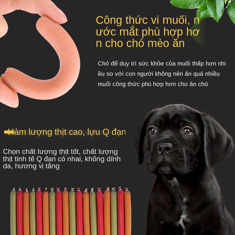 Thức ăn cho thú cưng▩♤đồ ăn vặt cho chó ham xúc xích Nguyên hộp bán buôn thức huấn luyện mèo cưng Teddy Golden R