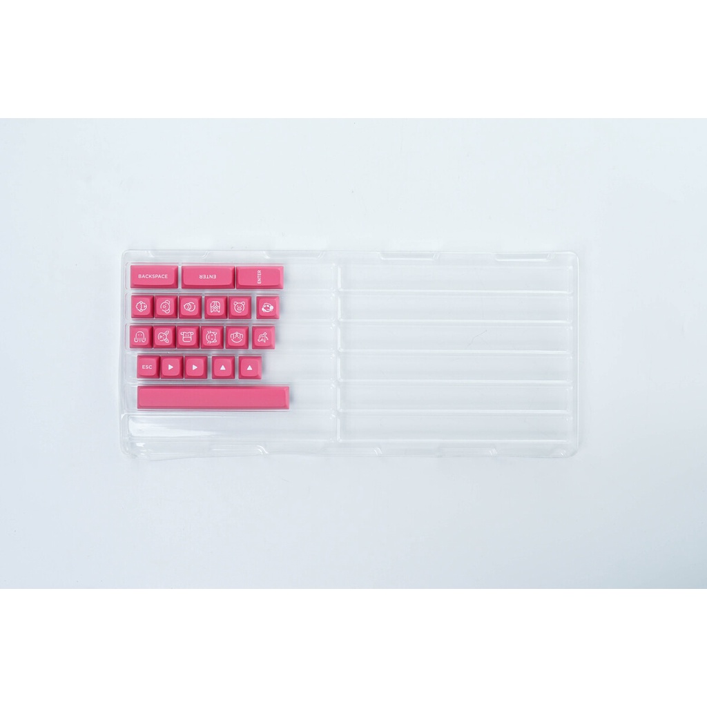 Bộ AKKO Keycap set cho bàn phím cơ – Prunus Lannesiana (PBT Double-Shot/ASA Low profile/155 nút)