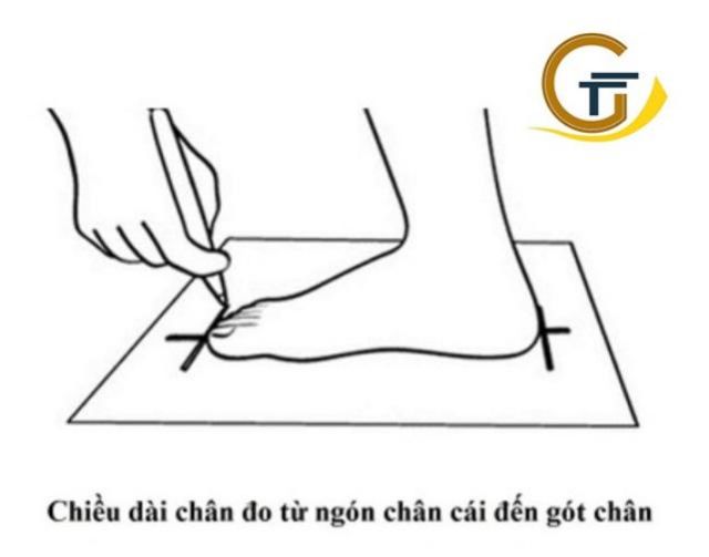 GIÀY bảo hộ safety mũi thép đế thép - GIÀY ABC CHÍNH HÃNG