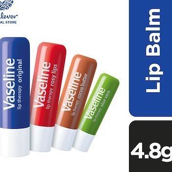 (Hàng Mới Về) Son Dưỡng Môi Vaseline Chiết Xuất Lô Hội Và Bơ