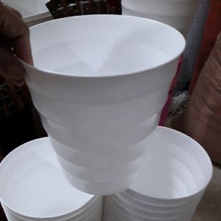 Combo 50 chậu sóng trắng 22cm rộng 20cm