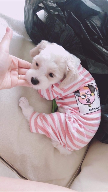 Quần áo 4 chân pijama cho chó mèo chất cực đẹp có ảnh thật