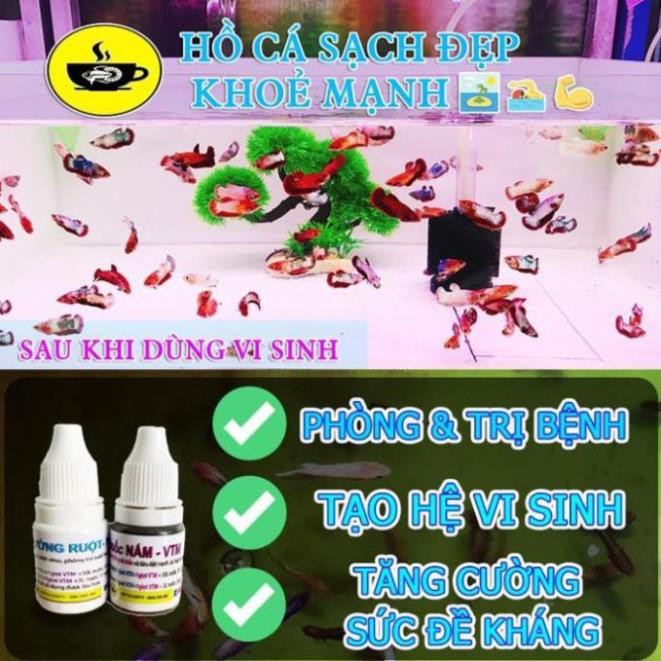 🦐 Artemia Trung Quốc - Loại 1 - Thức Ăn Cá