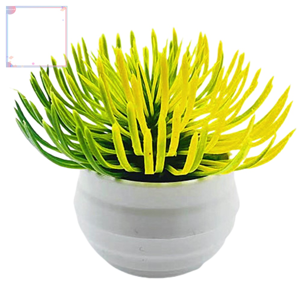 Chậu Cây Sa Mạc Nhân Tạo Chống Tia UV Trang Trí Sân Vườn