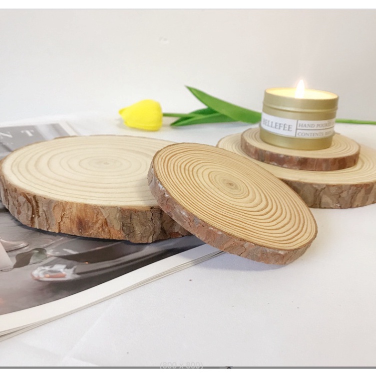 Miếng gỗ thông tự nhiên mộc mạc trang trí chụp ảnh, làm handmade