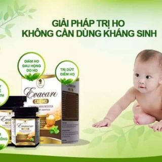 Cao ho eva care