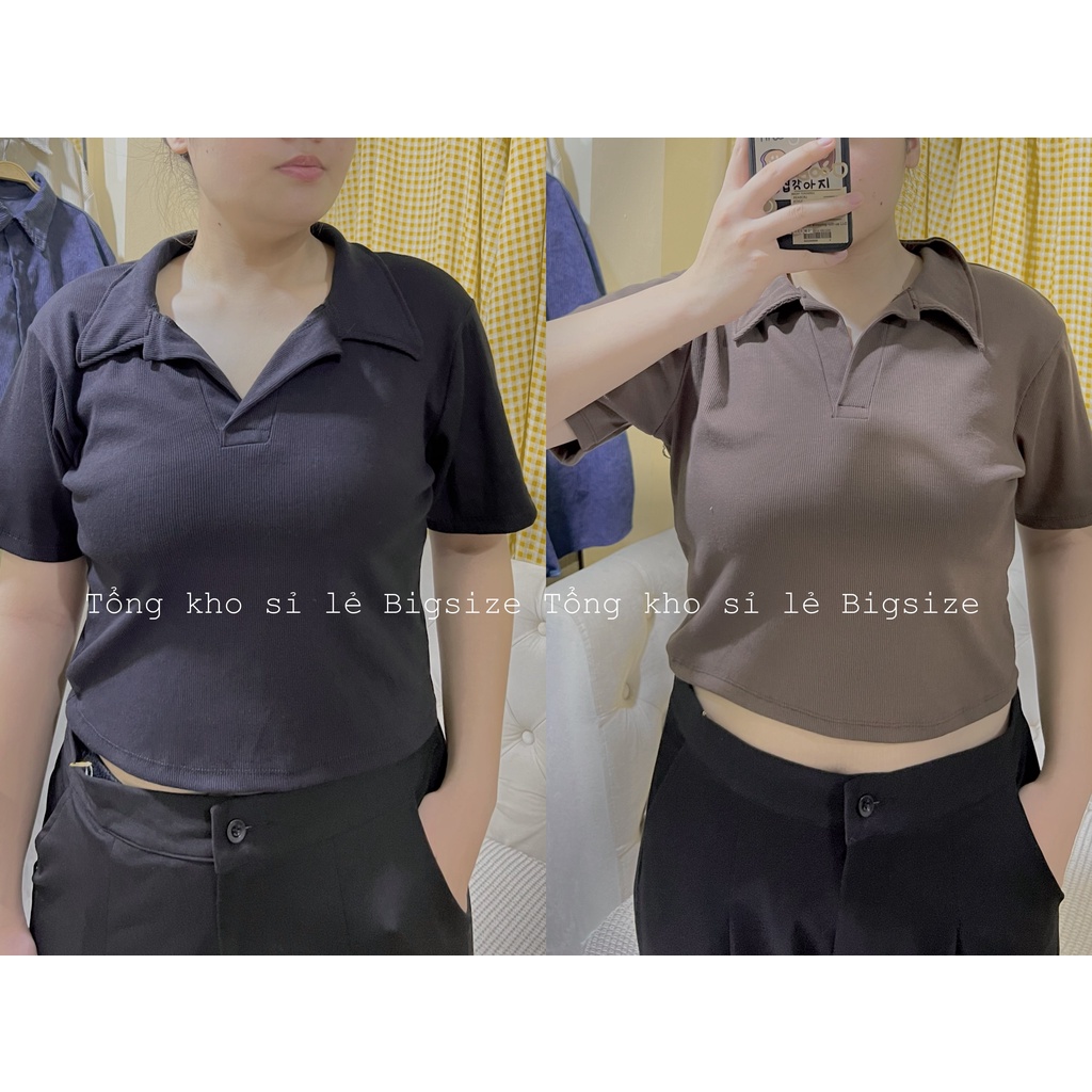 [Bigsize] Áo coptop đủ size 60-100kg
