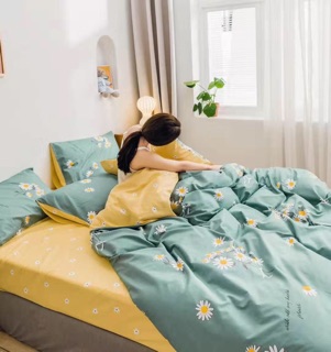 Bộ Drap & Chăn Phao Cotton Poly Cúc Hoạ Mi