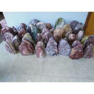 cây phong thủy ngọc serpentine