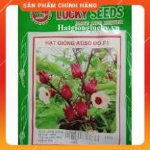 HẠT GIỐNG ATISO ĐỎ GÓI 10H
