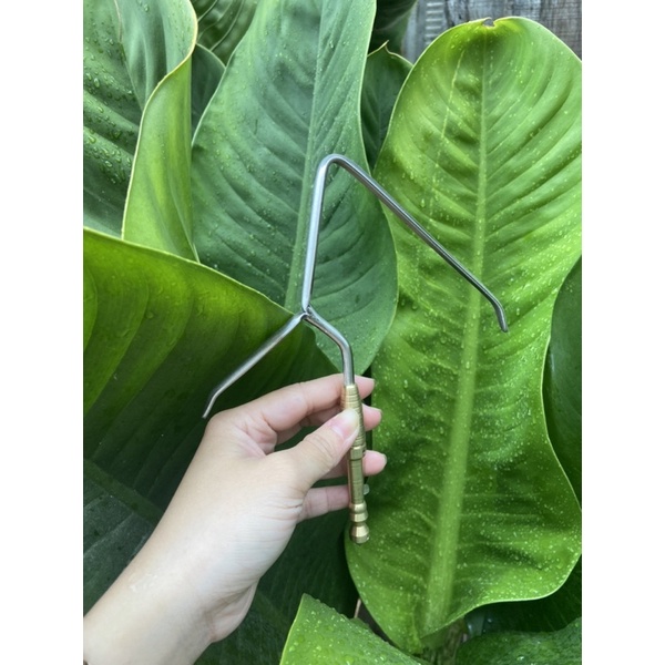 Móc trụ ty đồng chẻ cu gáy PILE khoan lỗ theo yêu cầu