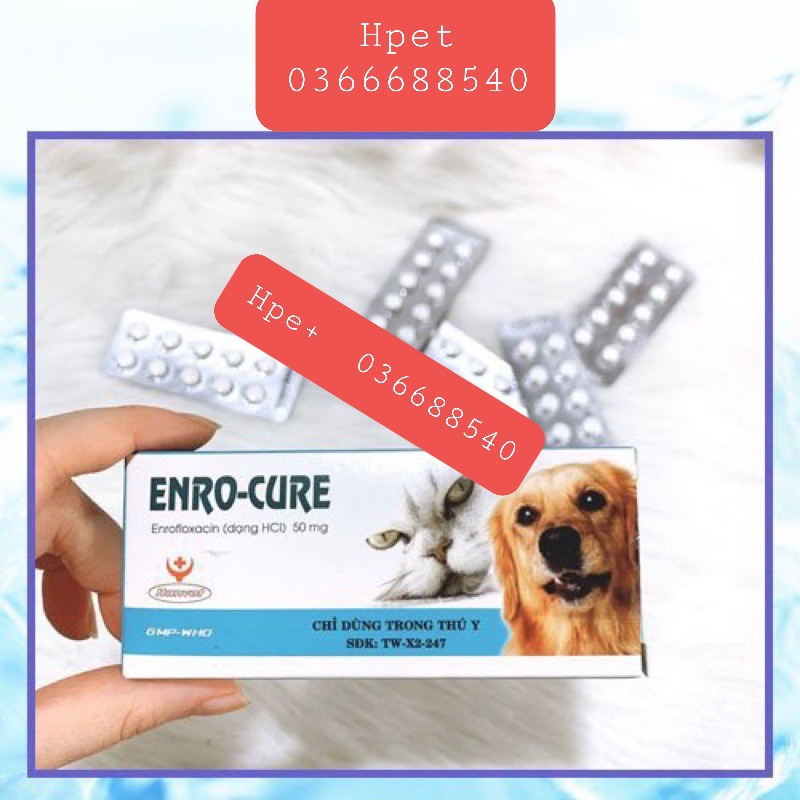 Tr.ị viêm tai ngoài chó mèo thú cảnh ENRO CỦRE- t..rị nhiễm khuẩ.n đường tiêu hóa - viêm da