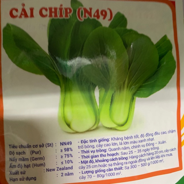 Hạt giống Rau Cải chíp