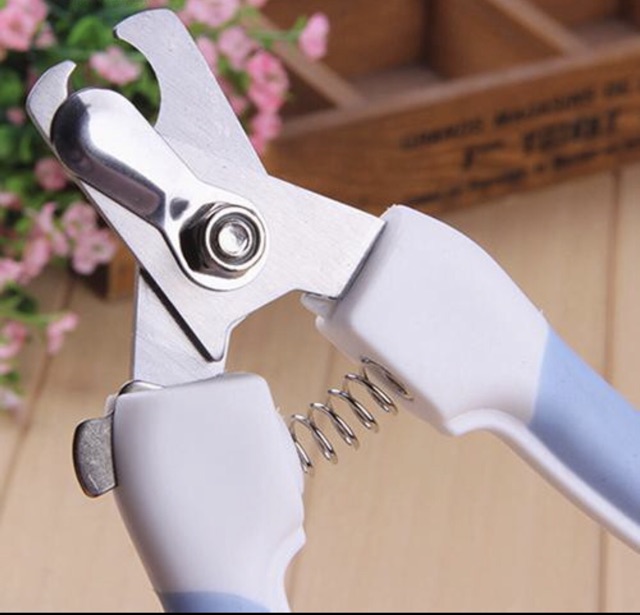 Bộ kìm cắt móng và dũa móng cho thú cưng