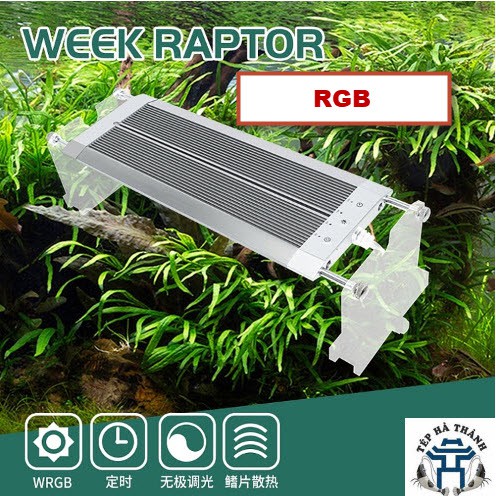 Đèn LED WEEK RAPTOR WRGB V600