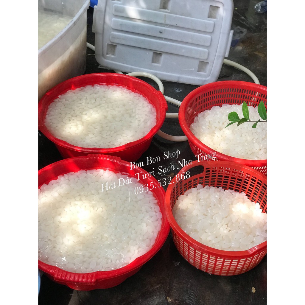 [Mã 267FMCGSALE giảm 8% đơn 500K] 1kg Hạt Đác Tươi Sạch Nha Trang Loại Trung Dẻo | BigBuy360 - bigbuy360.vn