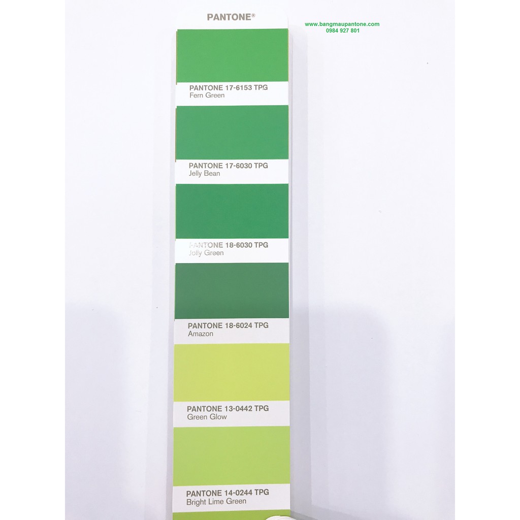 Bảng màu Pantone Fashion, Home + Interiors Color Guide of The Year Limited FHIP110 COY20 ( TPG - New 2020 )