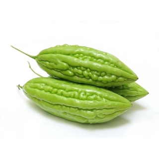 Khổ qua, mướp đắng Đà Lạt xanh sạch tươi ngon