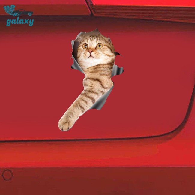 Galaxy Decal Dán Trang Trí Xe Hơi Họa Tiết Hoạt Hình Vui Nhộn