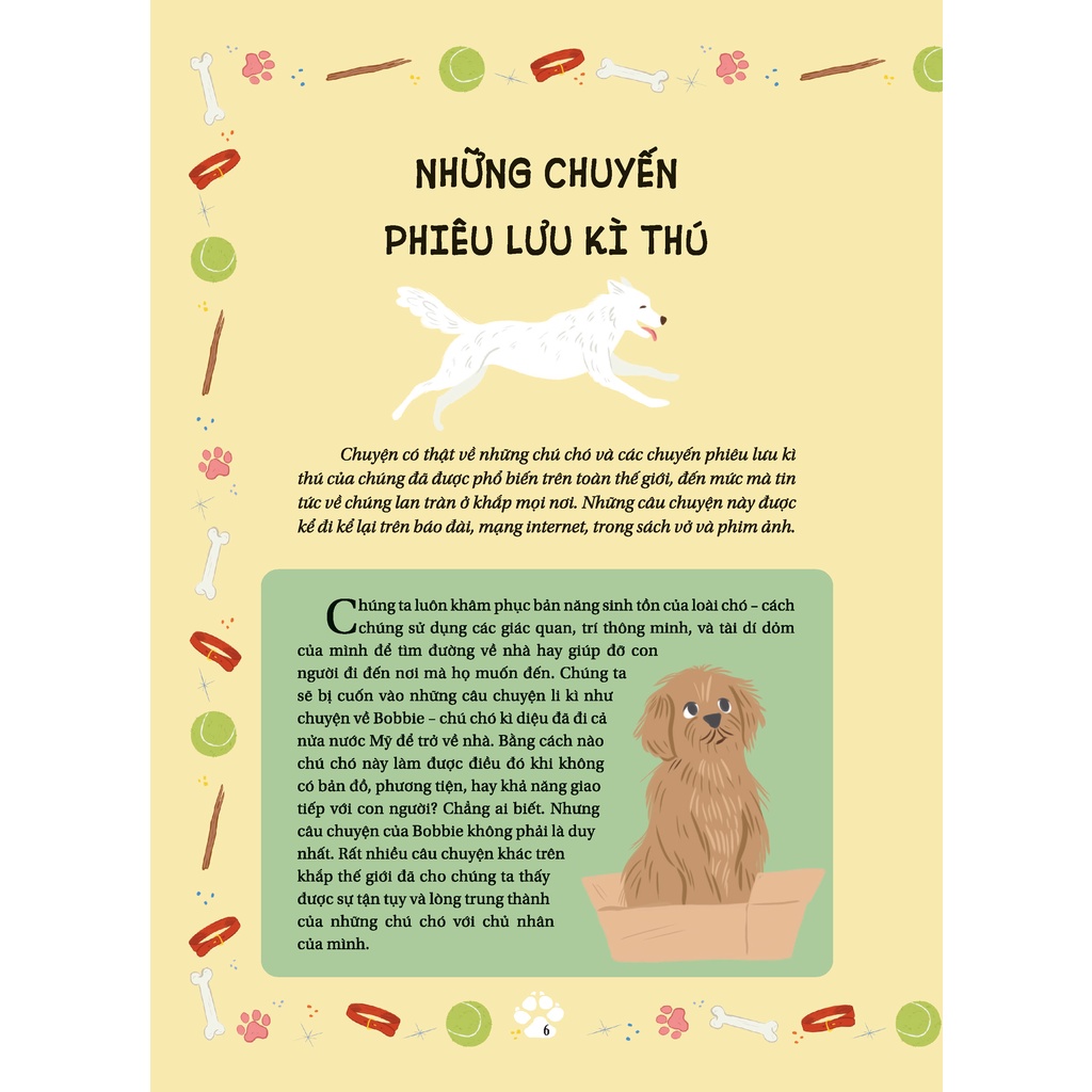 Sách - Câu Chuyện Về Loài Chó