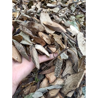 LÁ TẮM DAO ĐỎ SAPA ( gói 1kg)