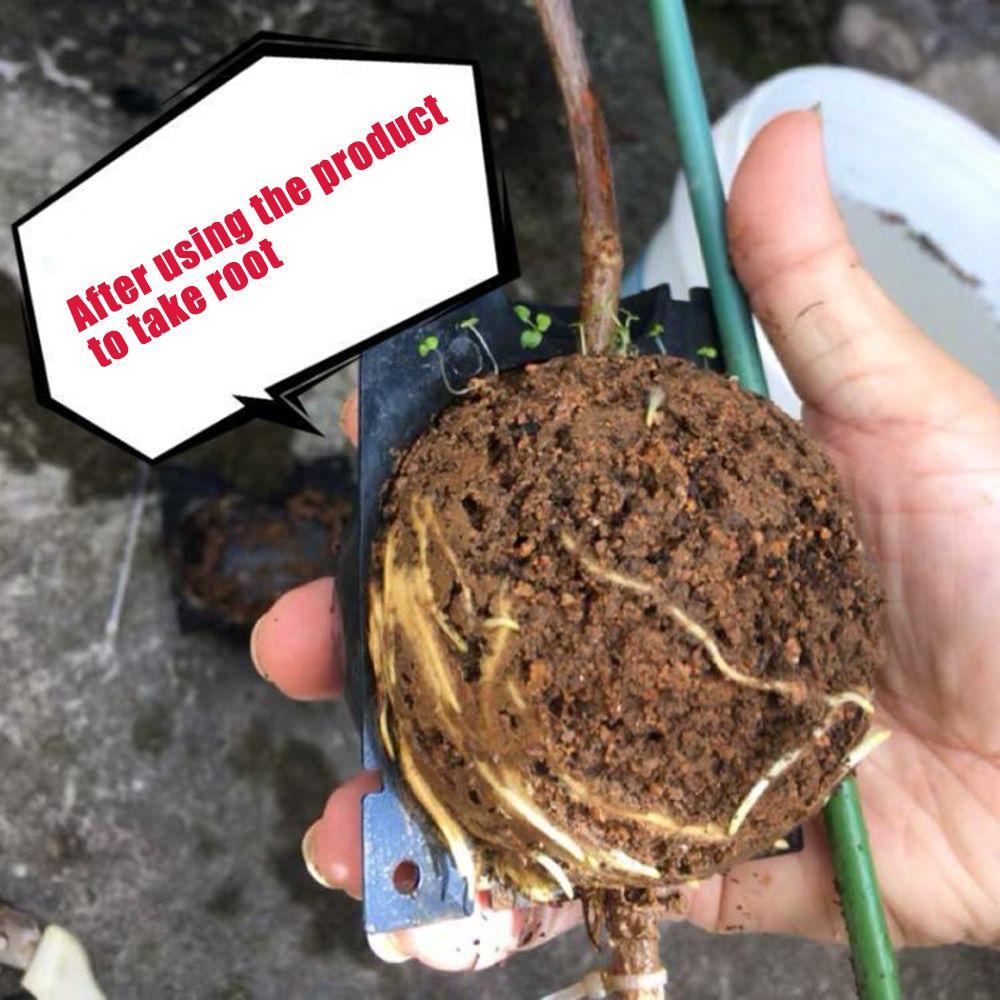 Hộp Bóng Trồng Cây Rễ Điều Khiển Chuyên Dụng