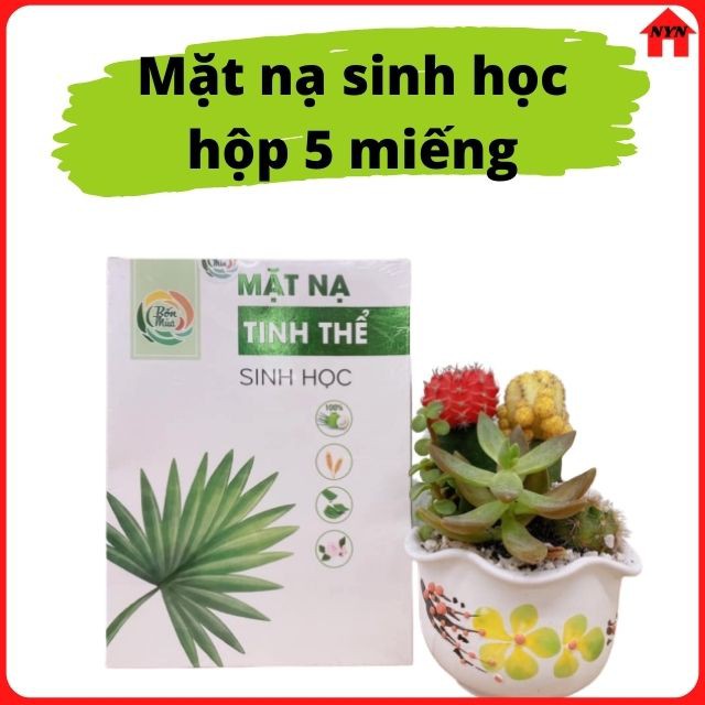 Mặt Nạ Dừa Tươi +FREESHIP+ Dưỡng Trắng Da Có Nước Gạo Lên Men Lô Hội Nước Hoa Hồng Thiên Nhiên Việt (HÀNG CHÍNH HÃNG)