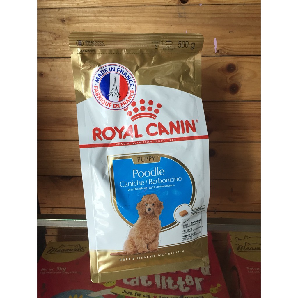 Royal Canin Poodle Puppy 500g - Thức ăn hạt cho chó con giống poodle 500g