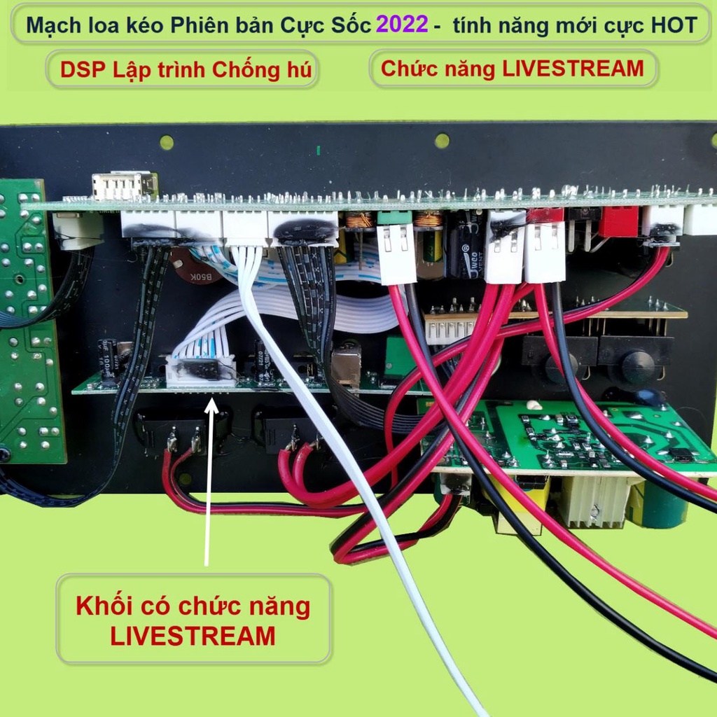 Mạch loa kéo LIVESTREAM DSP lập trình chống hú IC CS8676 công suất 60W – 120W có nguồn xung - guitar điện