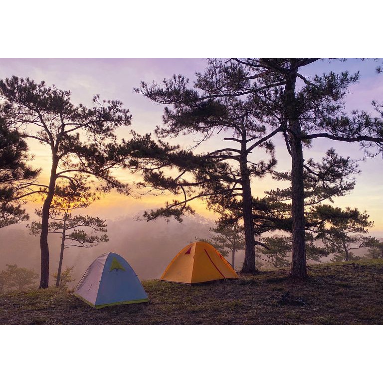 Phục vụ dã ngoại picnic