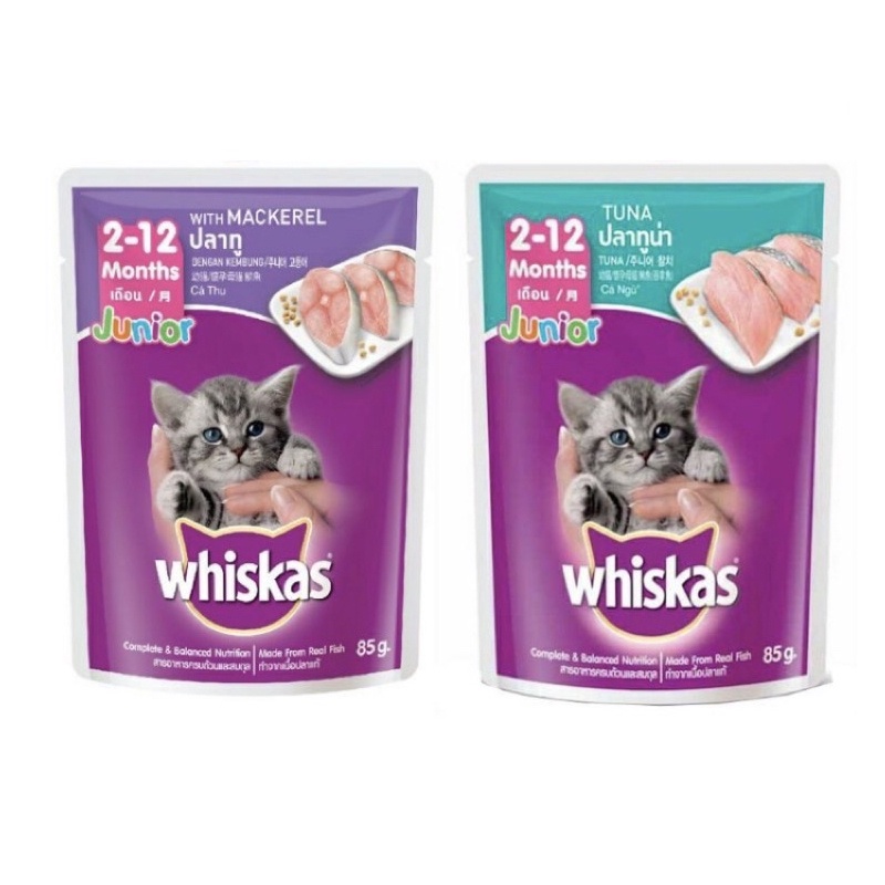 Combo 12 túi mix 2 vị thức ăn pate cho mèo con Whiskas 80g/túi