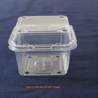 100 Hộp nút cài đựng dâu ,rau củ quả 250gr