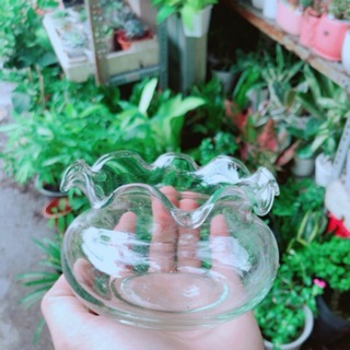 Chậu Trồng cây Hoặc Nuôi Cá