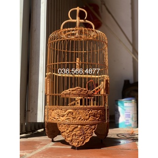 Lồng khuyên đục cao cấp tặng kèm đủ phụ kiện đẹp