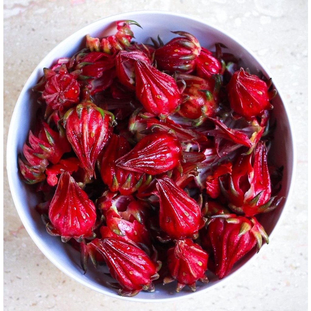 Hạt giống dâm bụt đỏ Roselle - Gói Hibiscus sabdariffa Miến Điện Chin Baung Jamaica
