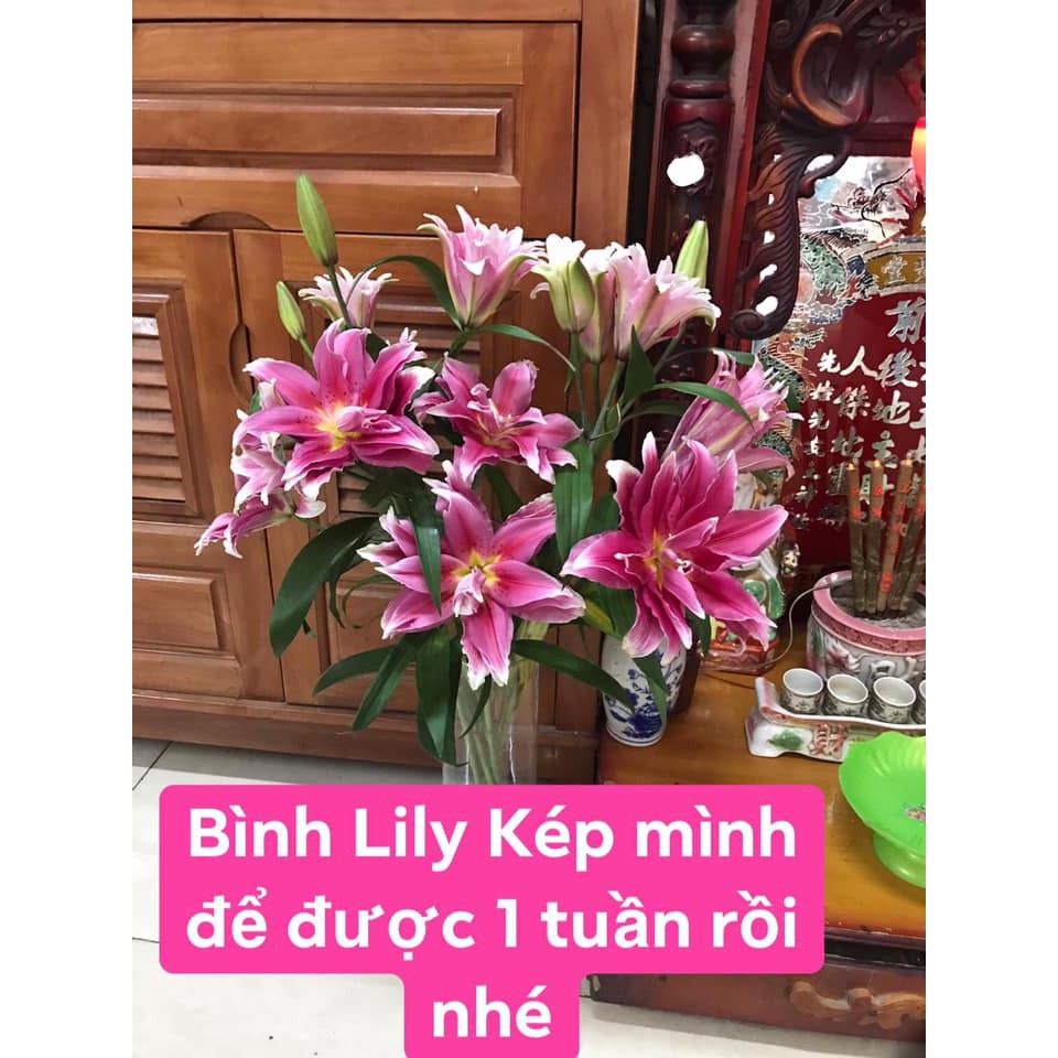 Gói dưỡng hoa tươi lâu tàn khi cắm xốp, lọ hoa, bình hoa trang trí 1 gói 5 gram - Floralife flower