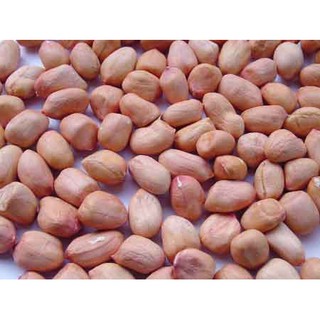 Lạc Trắng Ngon Sạch, Thơm Bùi