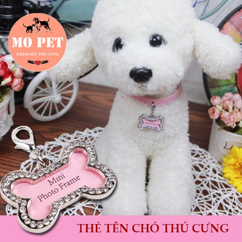 Thẻ tên cho chó mèo thú cưng loại tự có thể ghi tên được