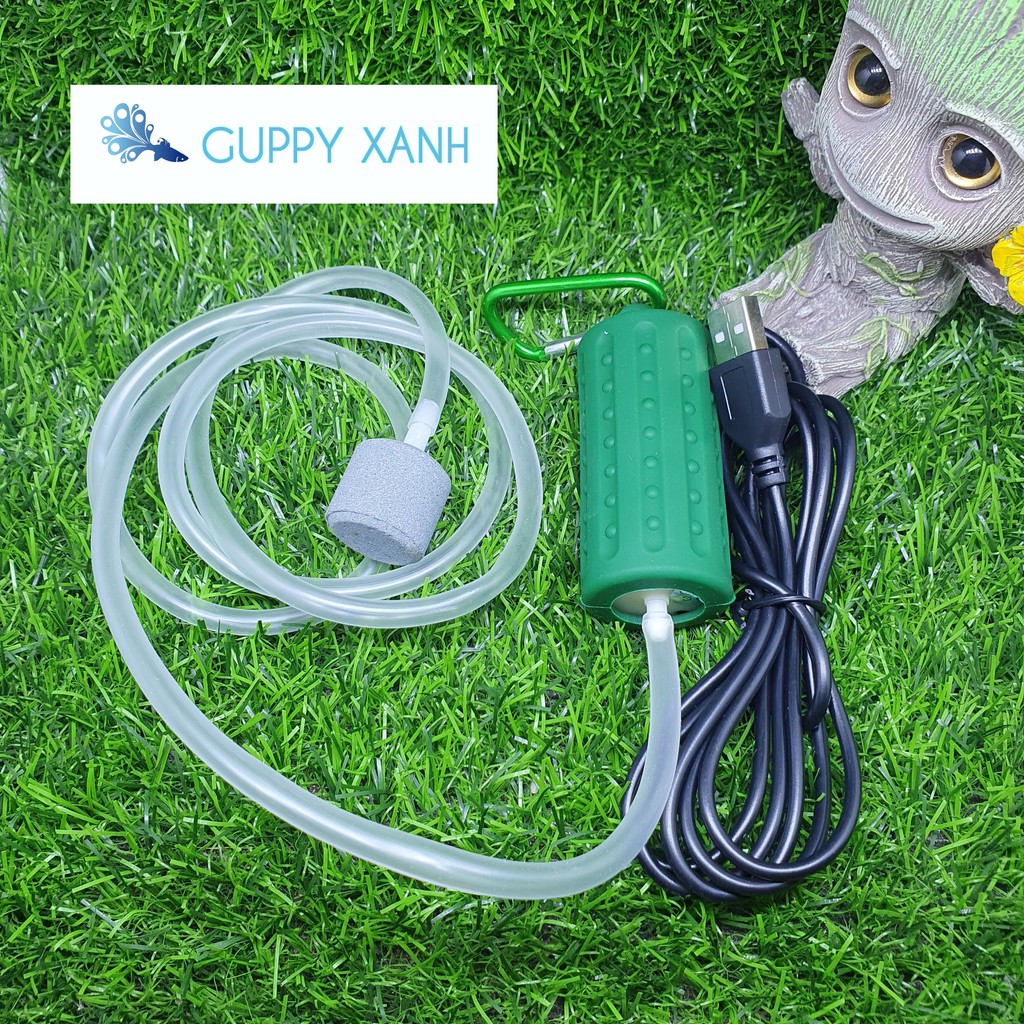 Máy sủi mini siêu êm- Sủi kết nối USB( Loại 1 vòi)