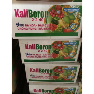 Phân bón lá cao cấp kaliboron 2-2-40 (20g/gói)