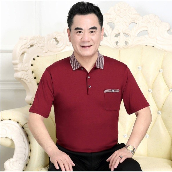 AN2217 -Áo thun nam cho người trung tuổi - giá 300k
