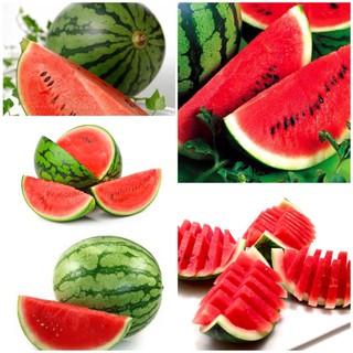 Hạt giống Dưa Hấu nhập khẩu-  chuyên dụng.