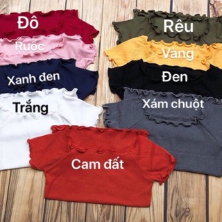 Áo trễ vai ( thun gân )