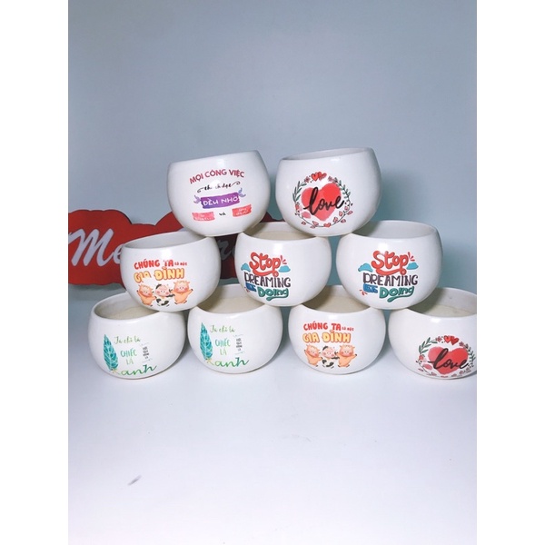 Chậu hạt dẻ mini size 8x8