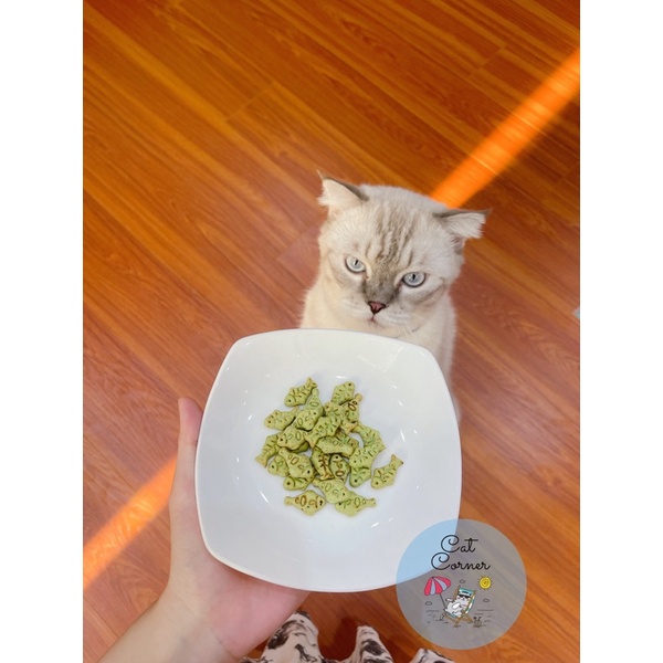 SNACK CATNIP CON CÁ TIÊU BÚI LÔNG MÈO gói 40g